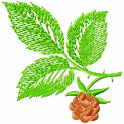 Pine Cone Embroidery Design 1